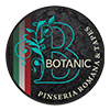 logo-botanic-pinseria-romana